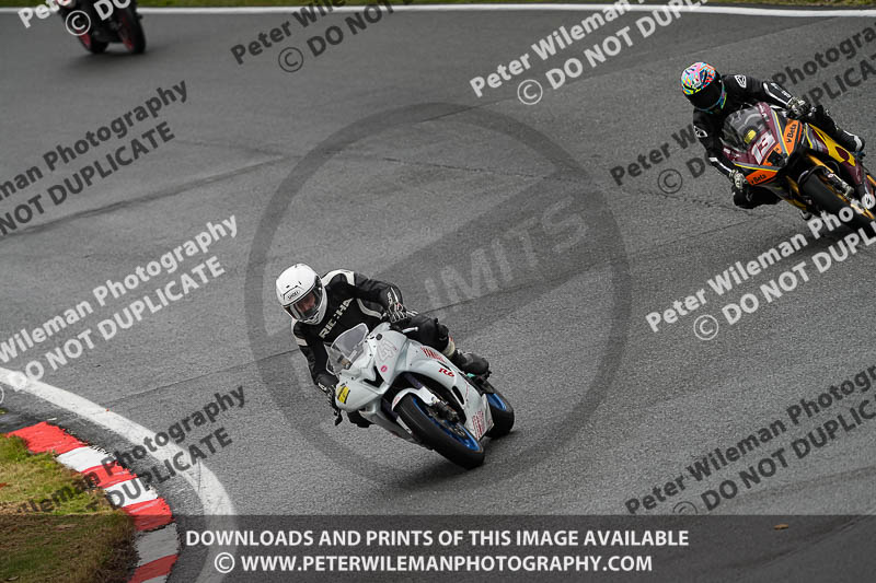 anglesey;brands hatch;cadwell park;croft;donington park;enduro digital images;event digital images;eventdigitalimages;mallory;no limits;oulton park;peter wileman photography;racing digital images;silverstone;snetterton;trackday digital images;trackday photos;vmcc banbury run;welsh 2 day enduro